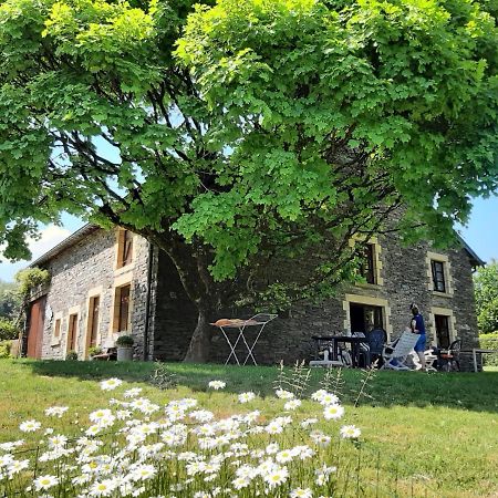 La Maison Des Marguerites Vresse-sur-Semois Exteriör bild