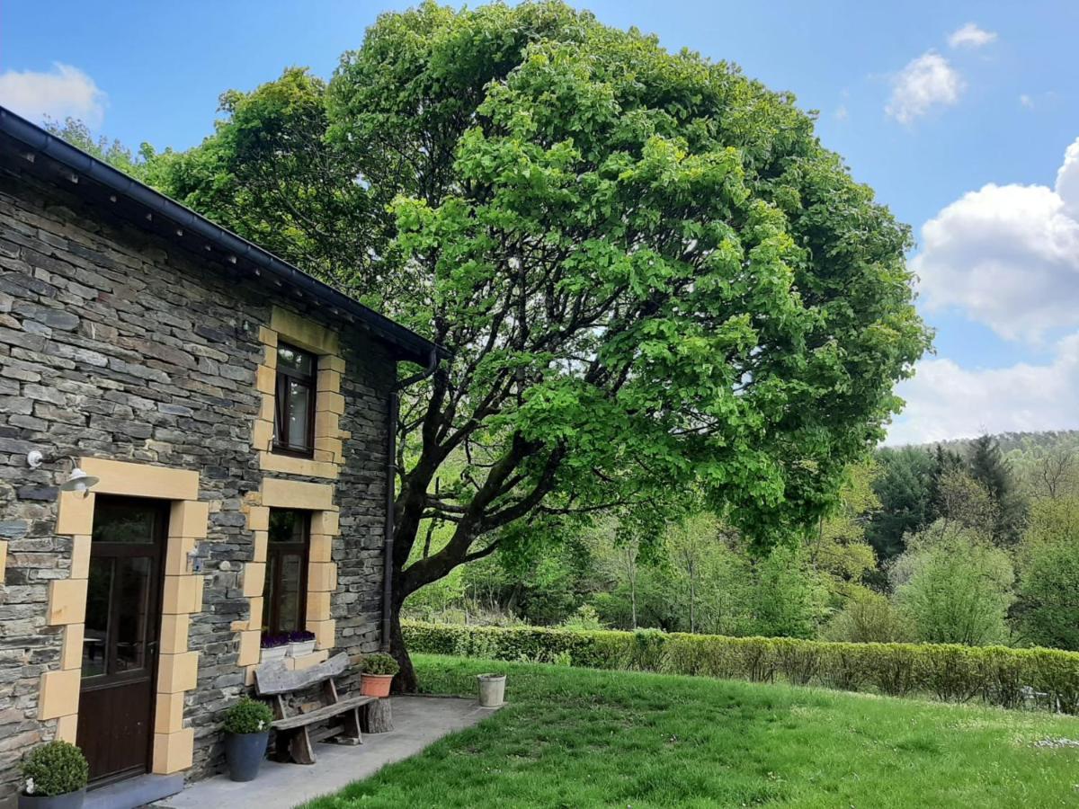 La Maison Des Marguerites Vresse-sur-Semois Exteriör bild
