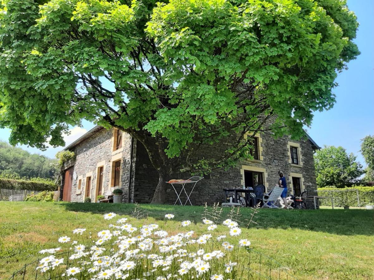 La Maison Des Marguerites Vresse-sur-Semois Exteriör bild