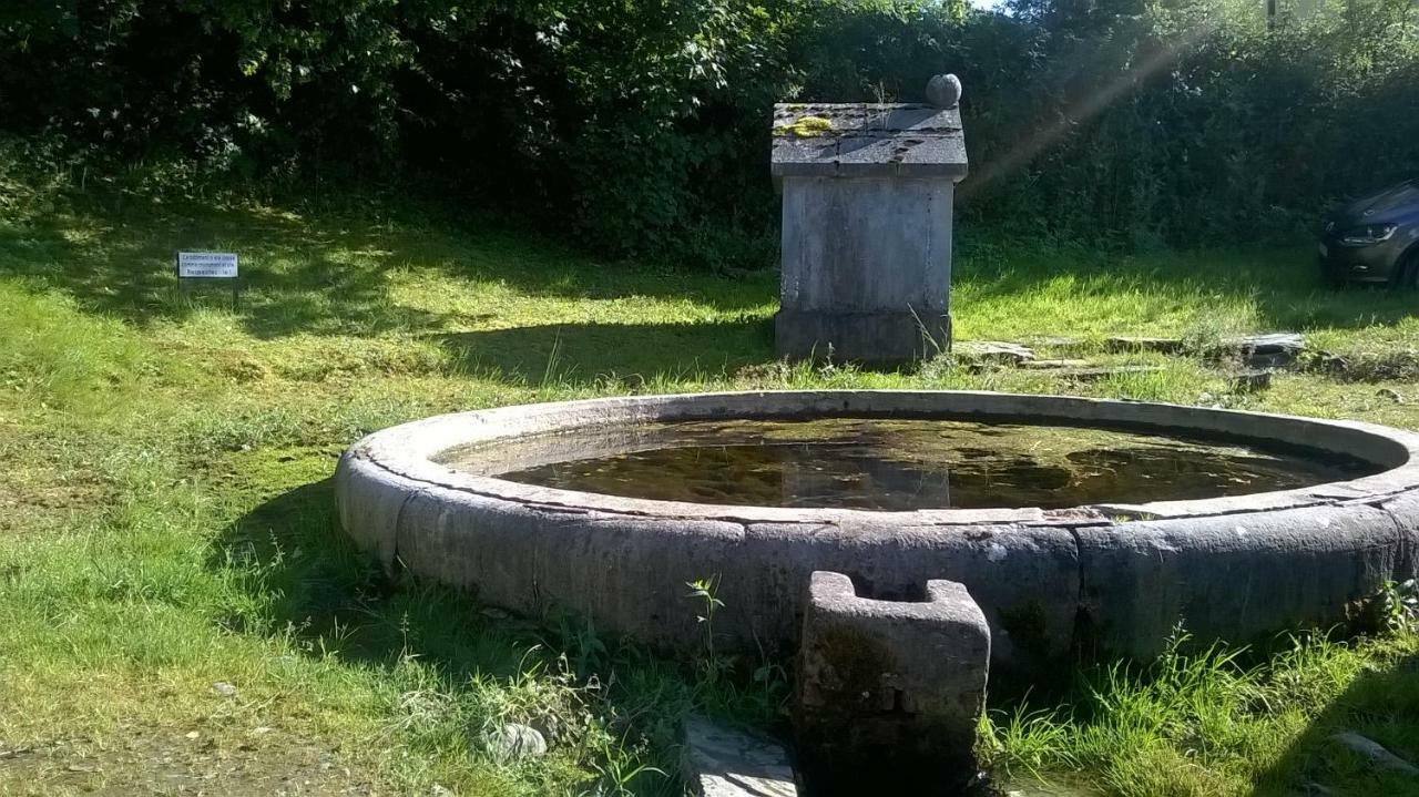 La Maison Des Marguerites Vresse-sur-Semois Exteriör bild